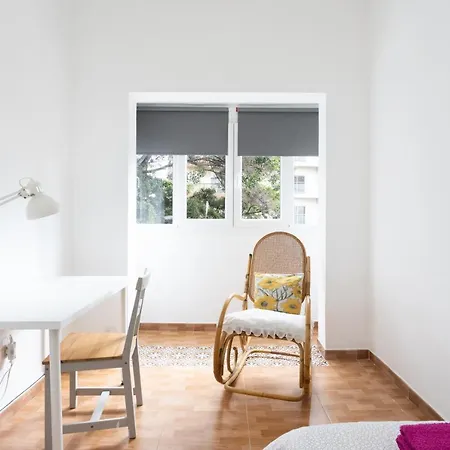 Apartment Home2book Comfy Cruz Center
